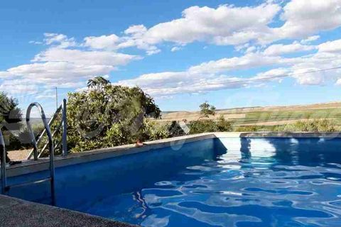 Landejendom i Yecla, Murcia, Yecla - € 180.000 | Ref: SF0495 - foto 26